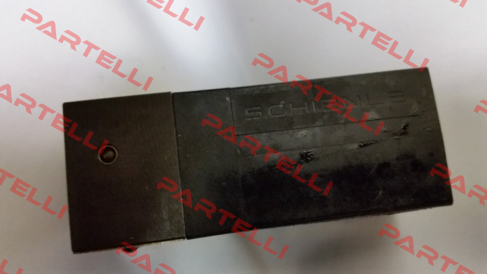 WE05-4P100D24/0H Schienle