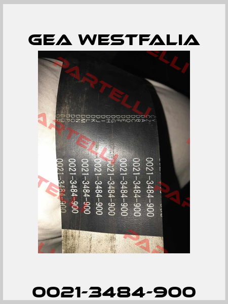 0021-3484-900 Gea Westfalia