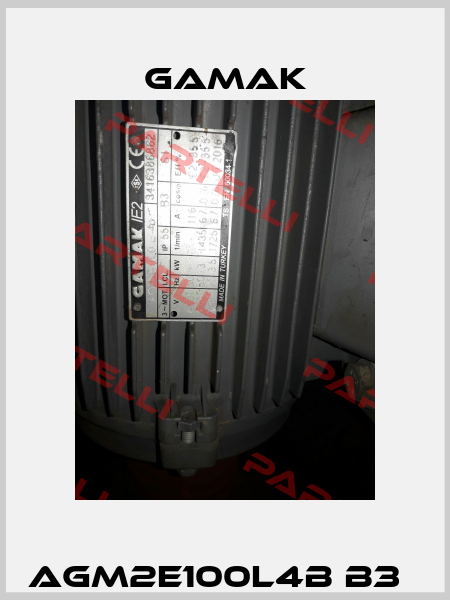 AGM2E100L4b B3   Gamak