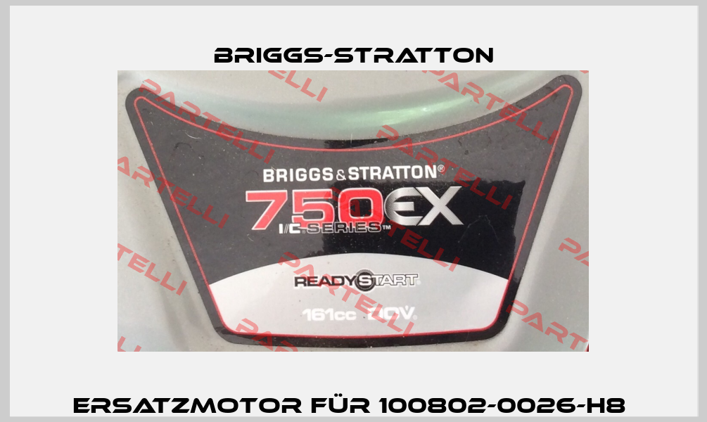 Ersatzmotor für 100802-0026-H8  Briggs-Stratton
