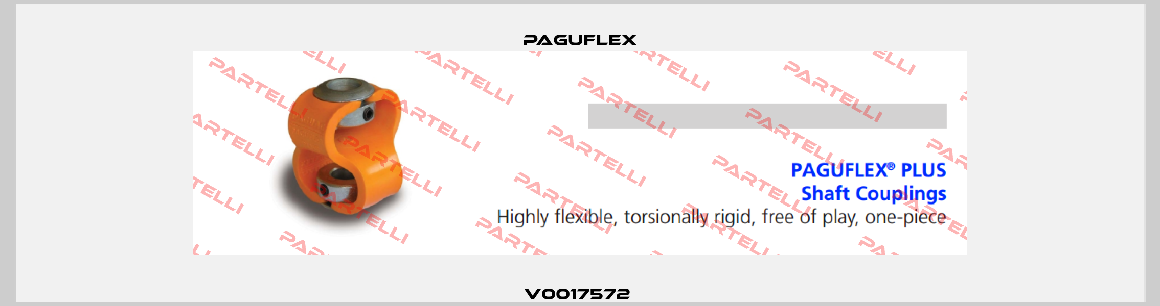 V0017572  Paguflex