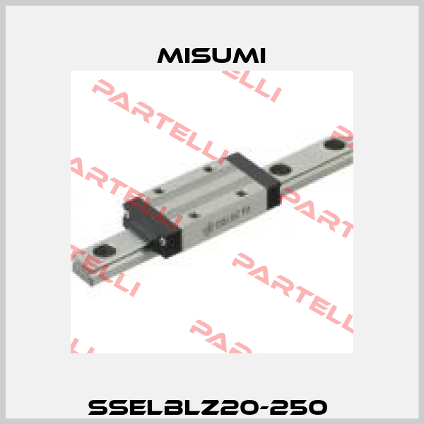 SSELBLZ20-250  Misumi