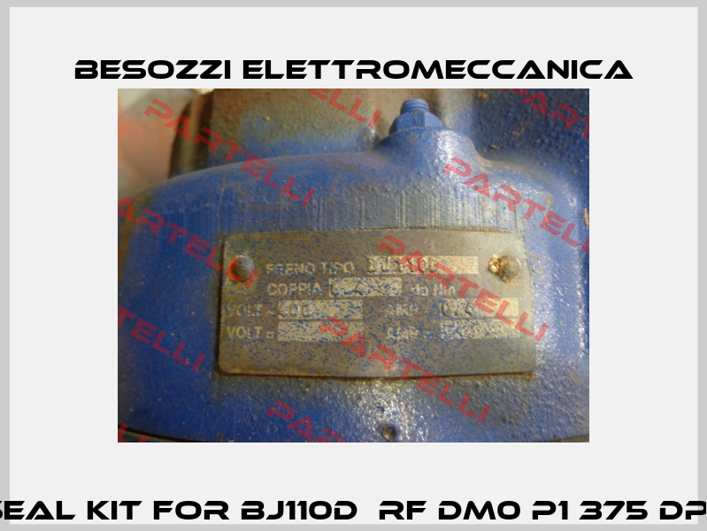 seal kit for BJ110D  RF DM0 P1 375 DP   Besozzi Elettromeccanica