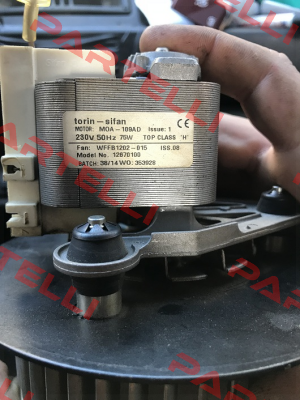 WFFB1202-015 - Part of: DSF133-42  Torin-Sifan
