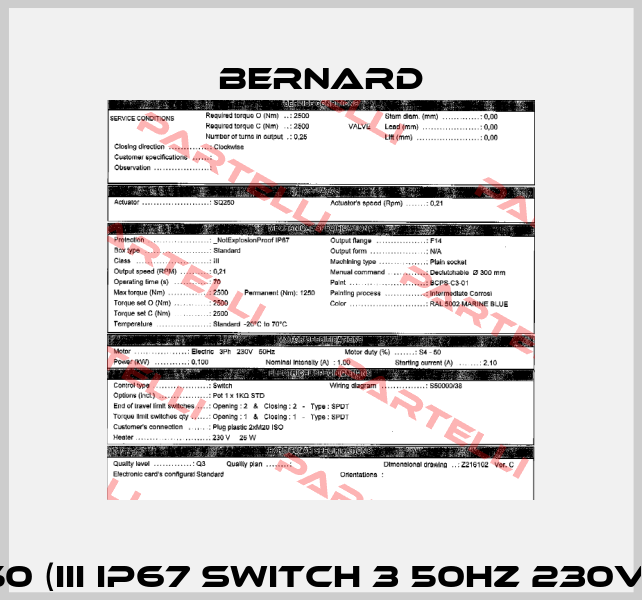 SQ250 (III IP67 Switch 3 50Hz 230V 70s) Bernard