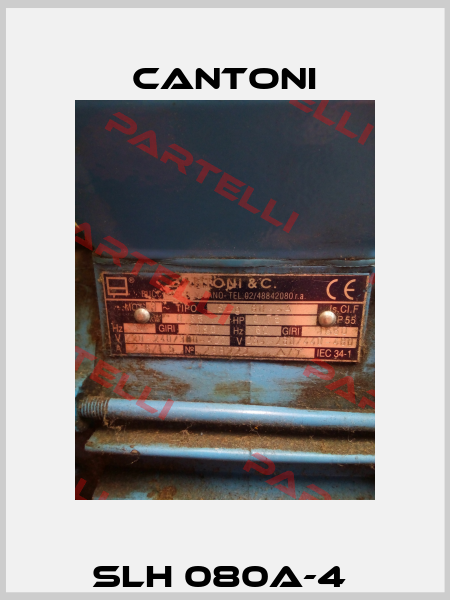 SLH 080A-4  Cantoni