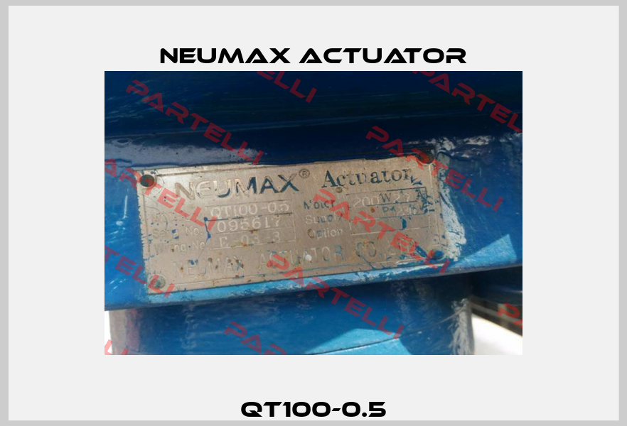 QT100-0.5 Neumax Actuator