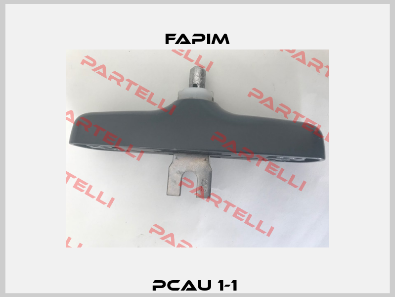 PCAU 1-1  Fapim