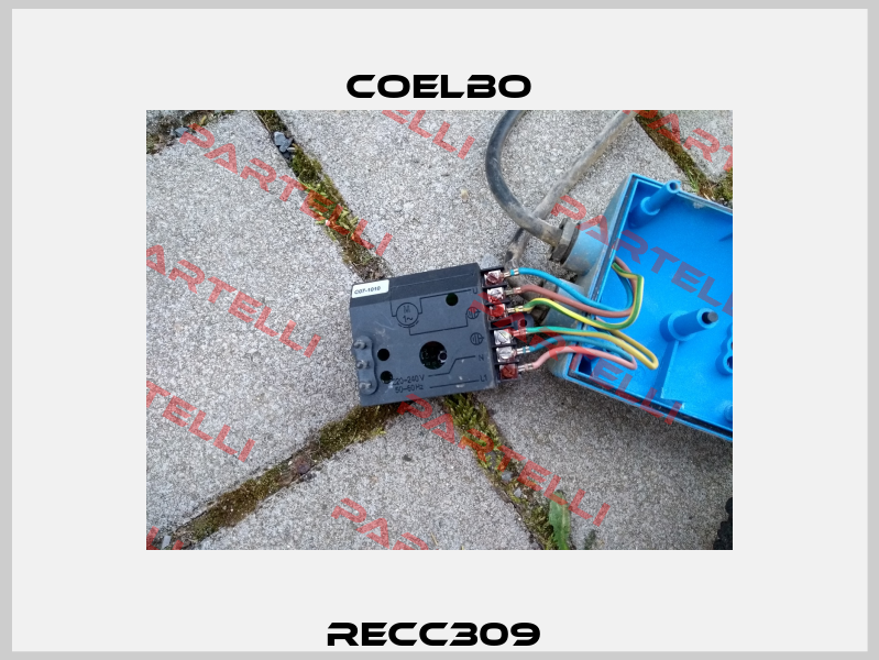 RECC309  COELBO