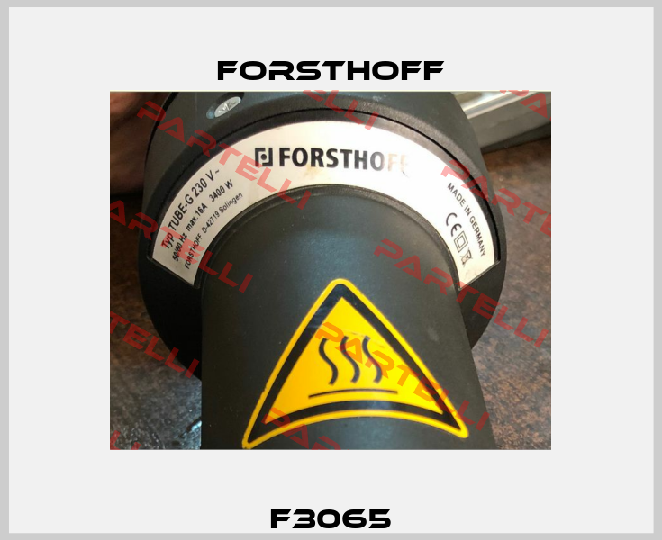 F3065  Forsthoff