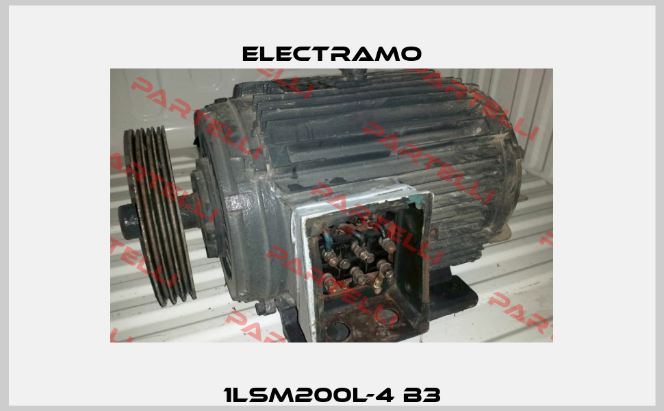 1LSM200L-4 B3 Electramo