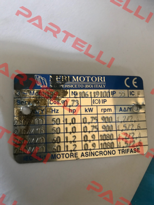 T90S6 / 2106119100  Neri Motori