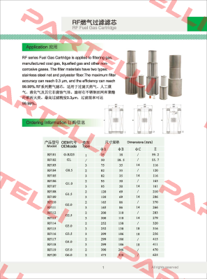 G2.0 Filtering Element Fiorentini