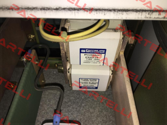 Protistor-E300729 Mersen