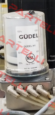 0206399 Güdel