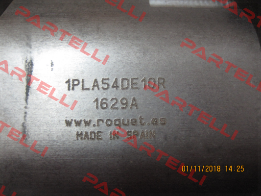 1PLA54DE10R P1BRN3036L10 Roquet pump
