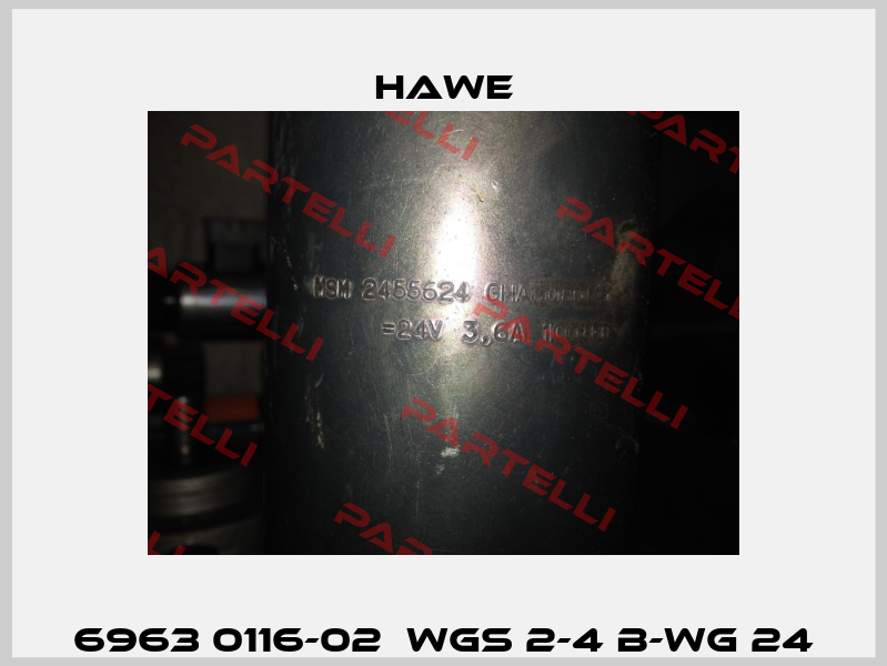 6963 0116-02  WGS 2-4 B-WG 24 Hawe