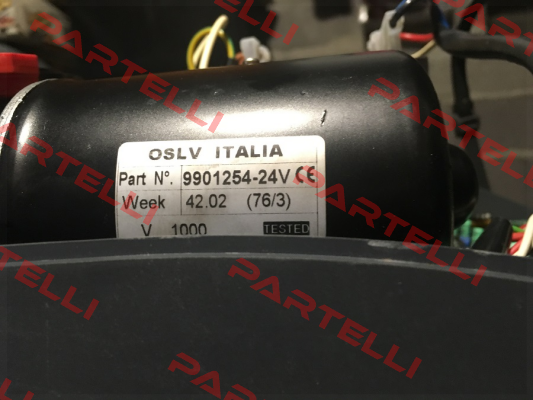 119RIE131 OSLV Italia