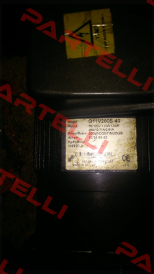 G11V200S-40 Sesame Motor