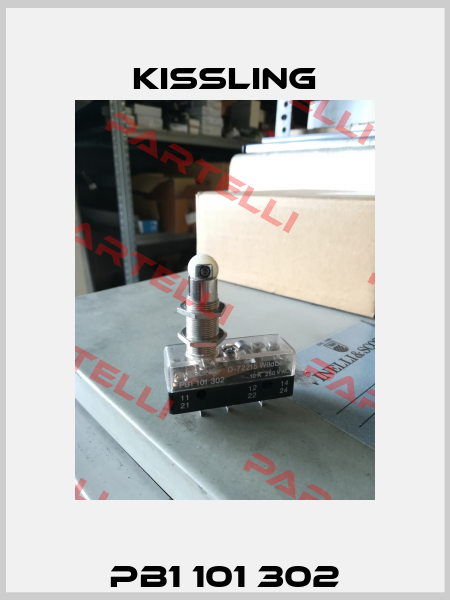 PB1 101 302 Kissling