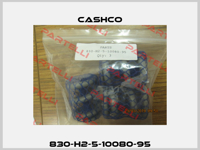 830-H2-5-10080-95 Cashco