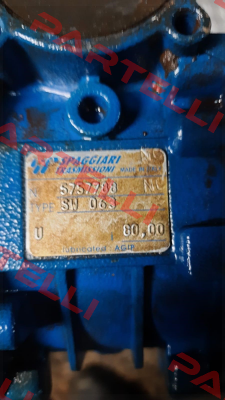 4000889 (Type: SW 063) Motovario
