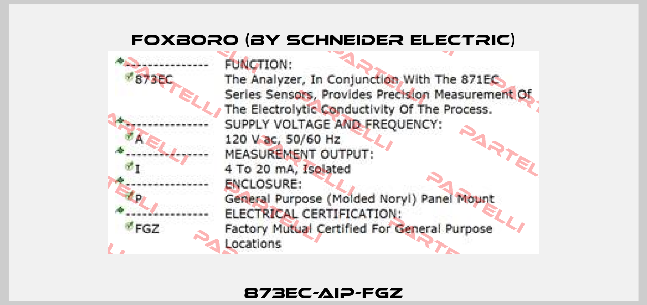 873EC-AIP-FGZ Foxboro (by Schneider Electric)