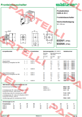 H263-41300-033V4 Salzer