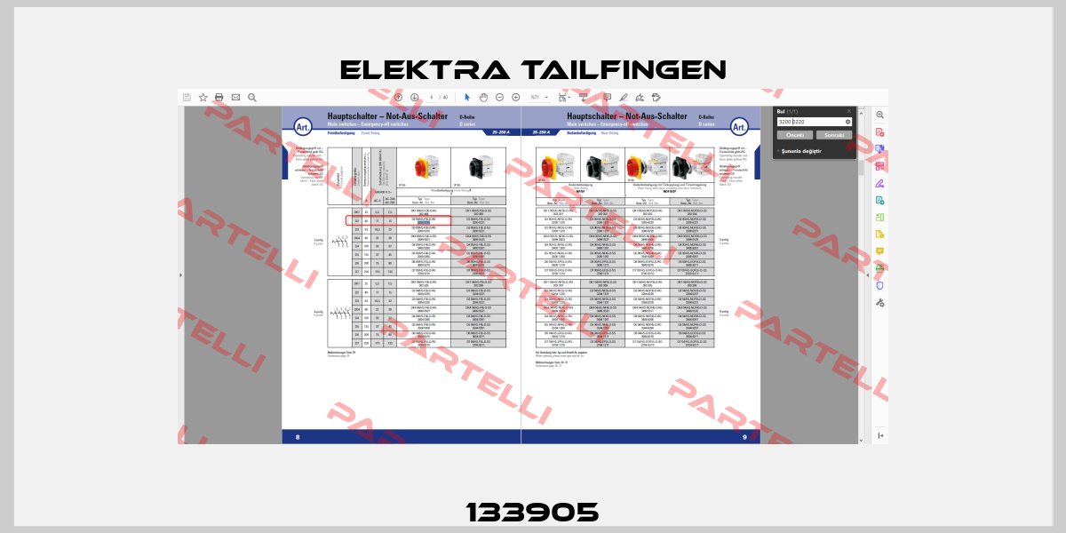 133905 Elektra Tailfingen