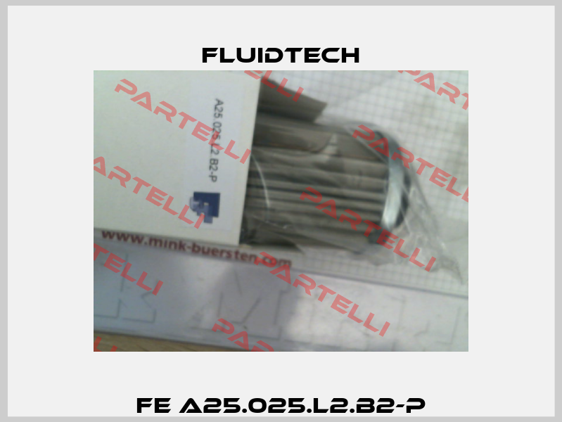 FE A25.025.L2.B2-P Fluidtech