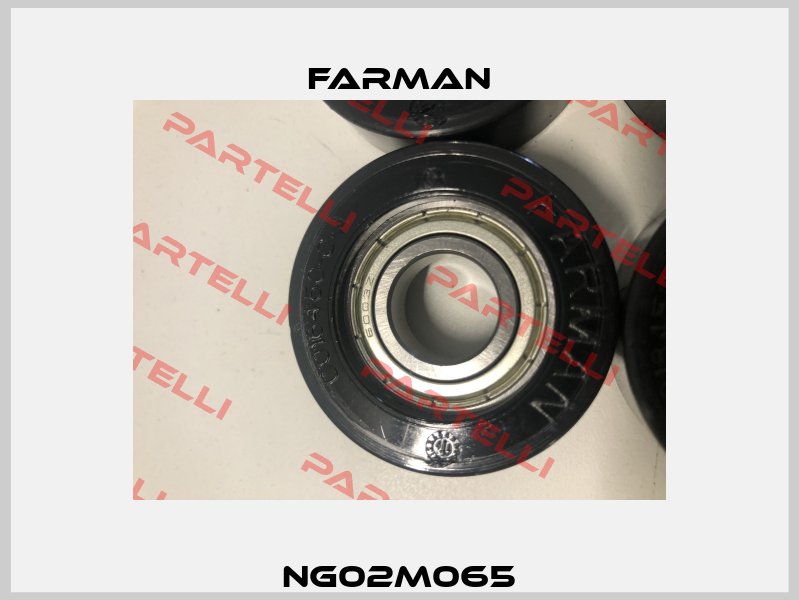NG02M065 Farman