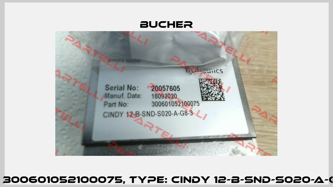 P/N: 300601052100075, Type: CINDY 12-B-SND-S020-A-G8-3 Bucher