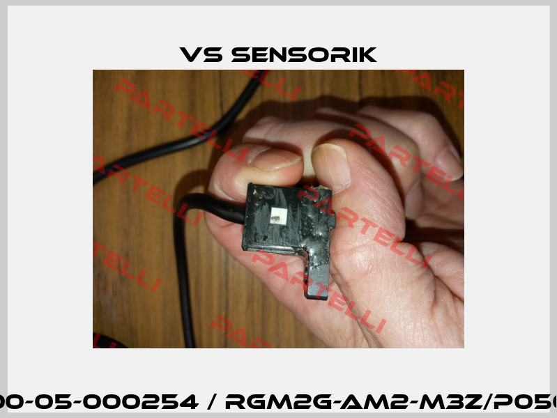 00-05-000254 / RGM2G-AM2-M3Z/P050 VS Sensorik