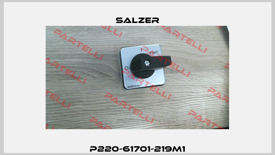 P220-61701-219M1 Salzer