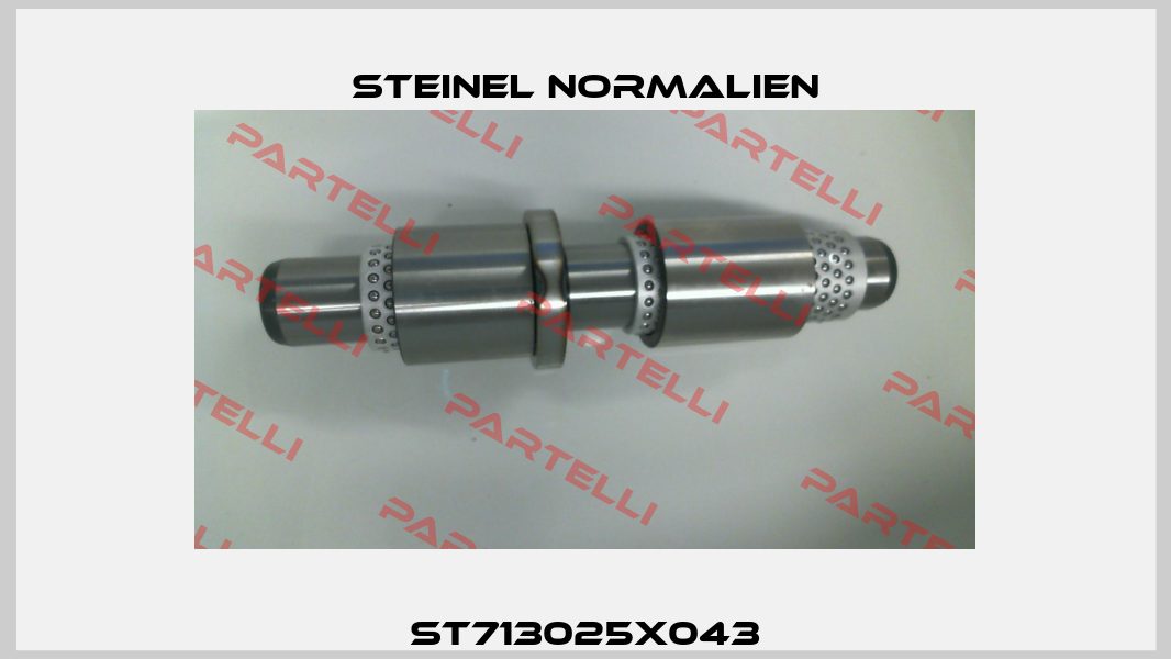 ST713025X043 Steinel Normalien