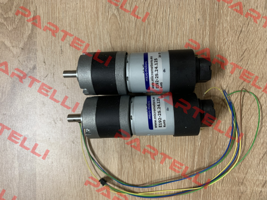 E192-2S.24.125 Micro Motors