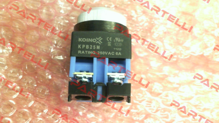 KPB25M-11 Koino