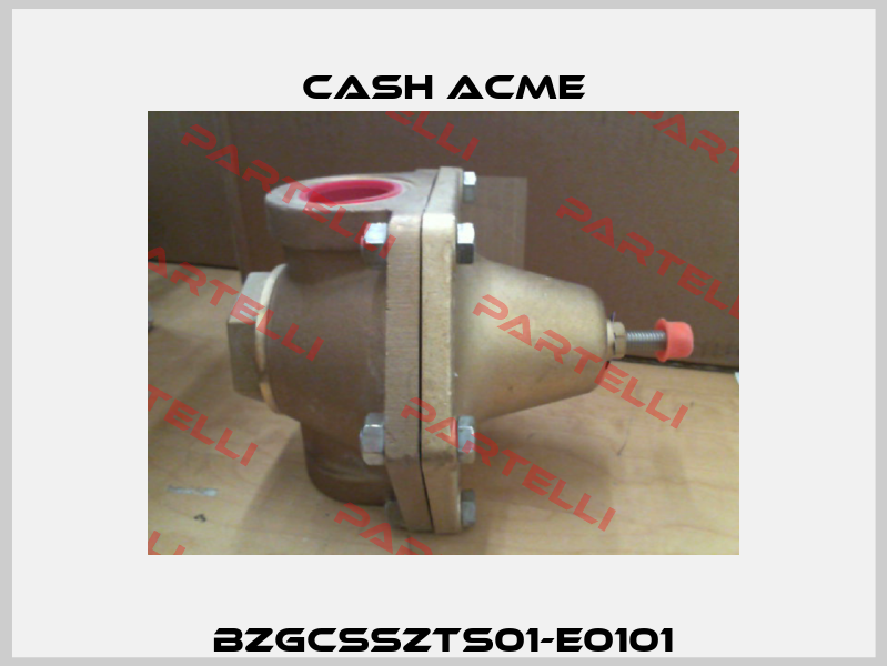 BZGCSSZTS01-E0101 Cash Acme