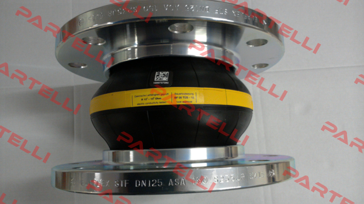 ERV-G 125x160.ASA 150 VSR Elaflex