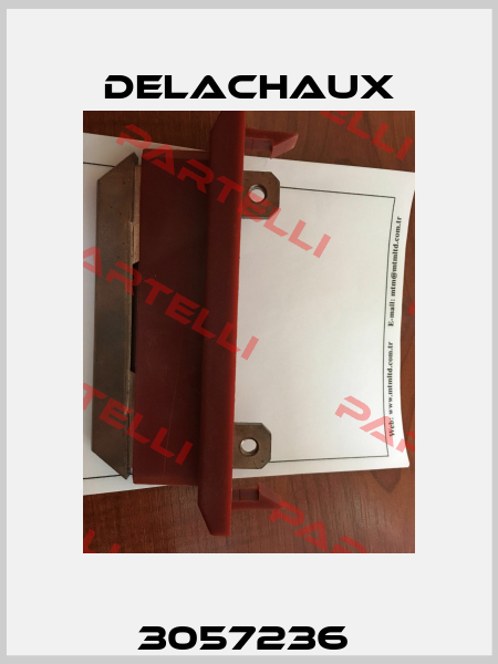 3057236  Delachaux