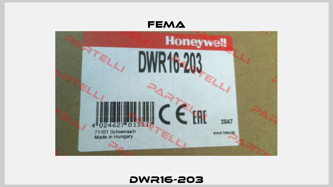 DWR16-203 FEMA