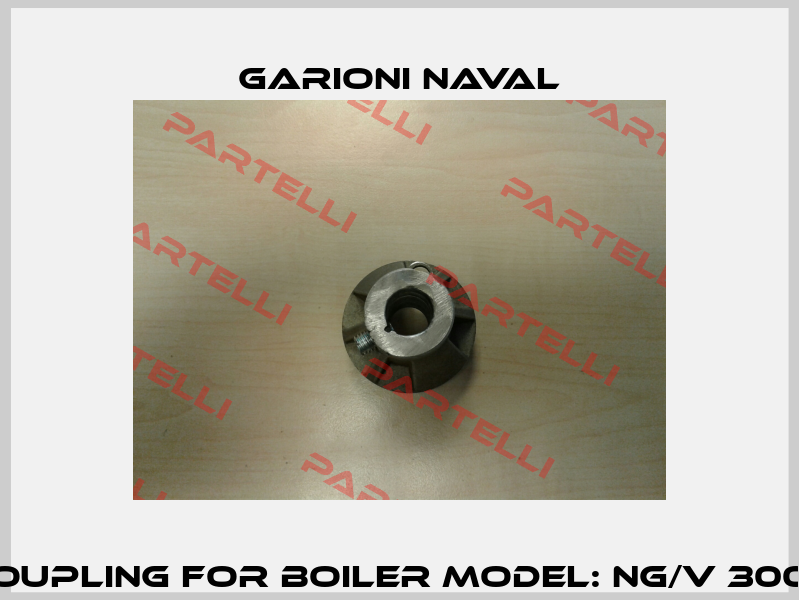 Coupling for Boiler Model: NG/V 3000 Garioni Naval