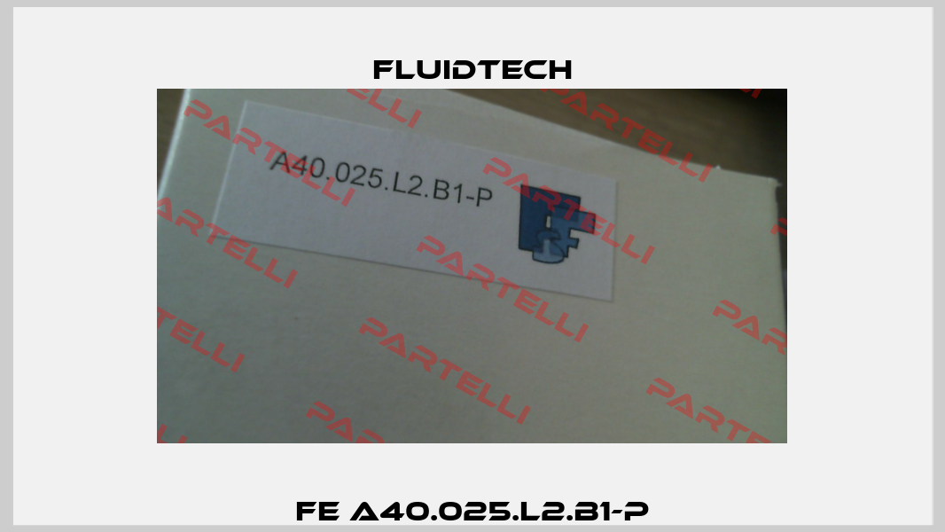 FE A40.025.L2.B1-P Fluidtech
