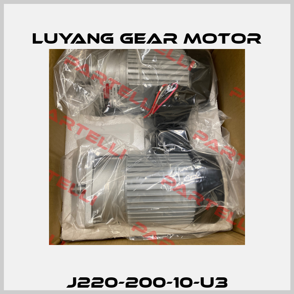 J220-200-10-U3 Luyang Gear Motor