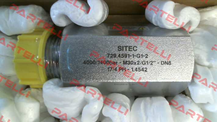 729.4591-1-G1-2 / b SITEC