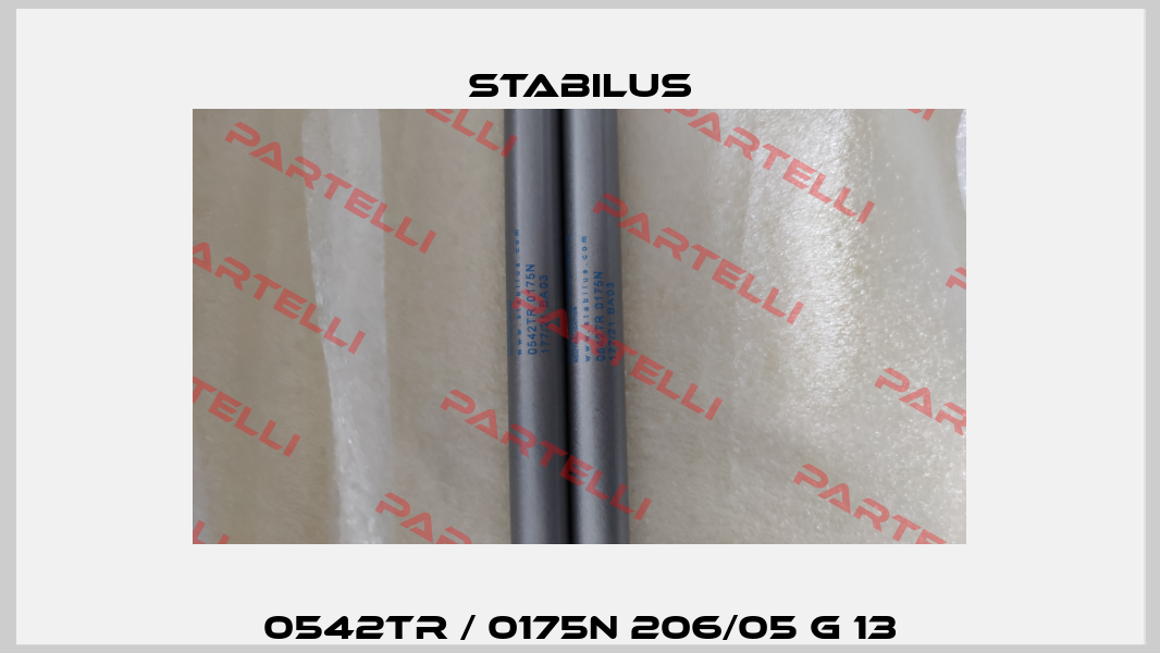 0542TR / 0175N 206/05 G 13 Stabilus