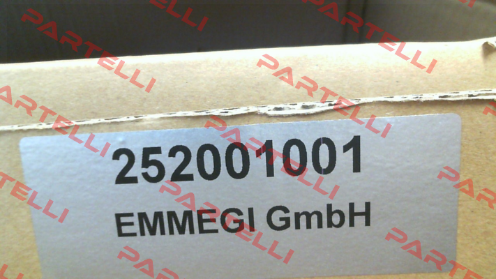 2020K (252001001 ) Emmegi