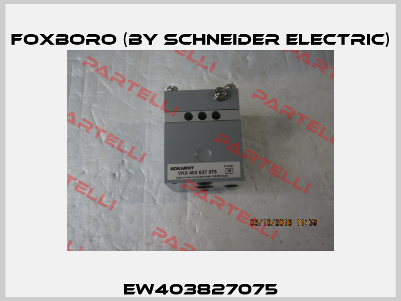 EW403827075 Foxboro (by Schneider Electric)