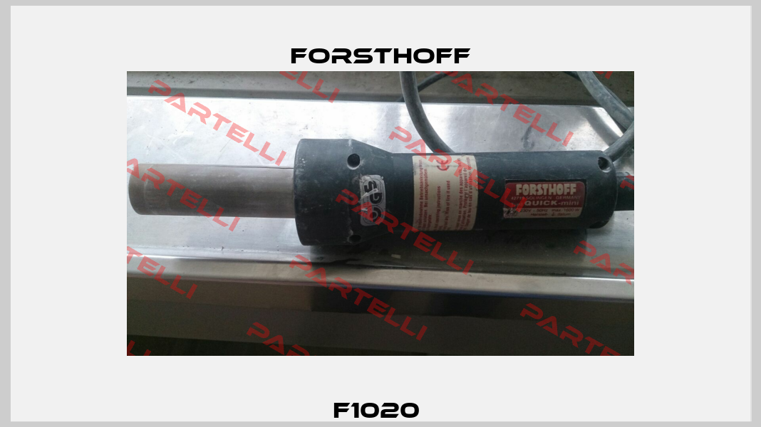 F1020  Forsthoff