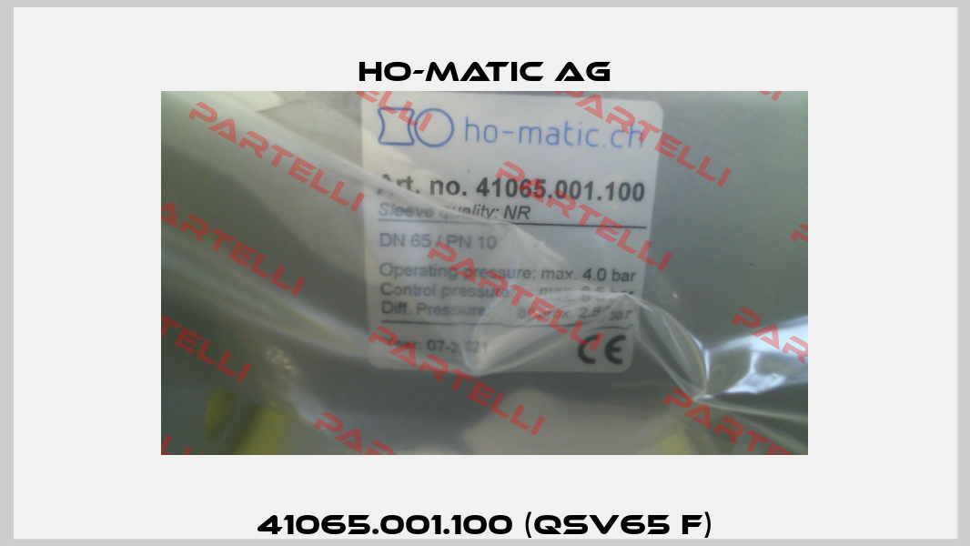 41065.001.100 (QSV65 F) Ho-Matic AG
